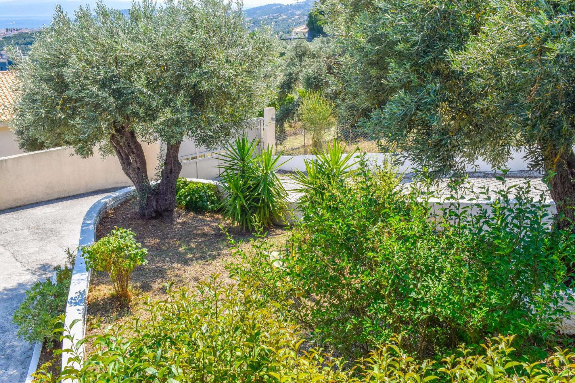 Apartments Villa L&M Skiathos Kalivia  Exterior photo